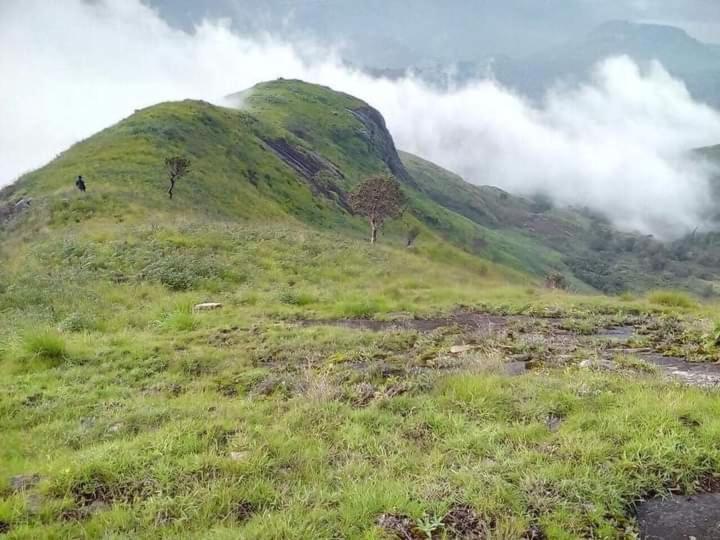Jungle Retreat Natural Stay Kombaikadu Kodaikanal Eksteriør bilde
